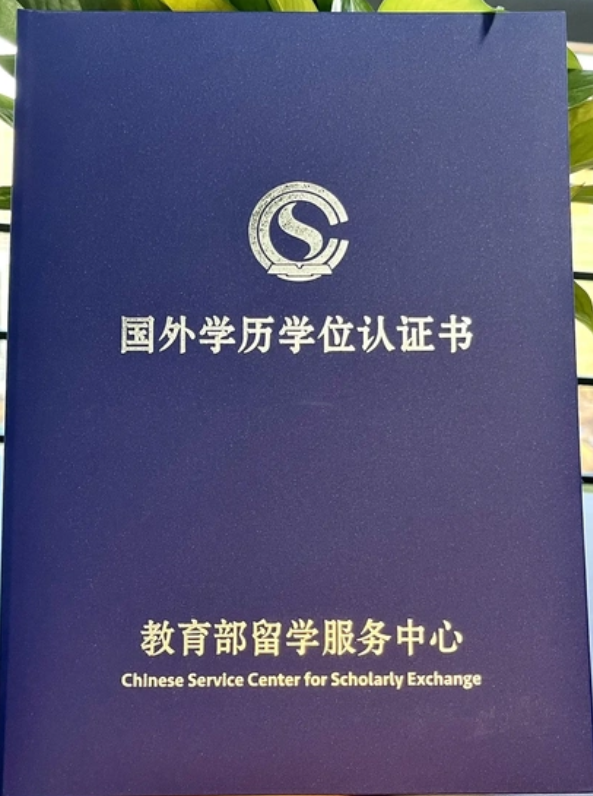 1754620046158901.png image.png