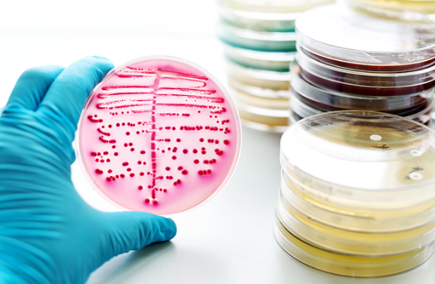 1754620085979163.png image.png